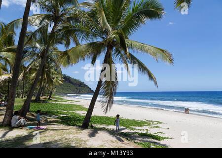 La France, l'île de la réunion, plage de Grande Anse Banque D'Images