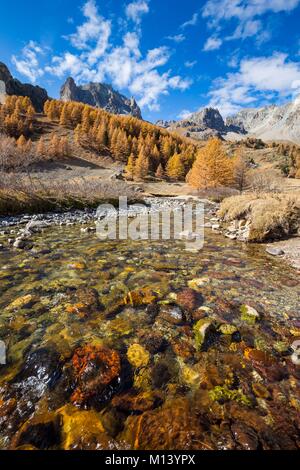 France, Hautes Alpes, Nevache, vallée de la Claree Claree, rivière au lieu-dit Pont du Moutet, dans l'arrière-plan le massif du col (3093 m) et les sommets de la main Crepin (2942 m) Banque D'Images