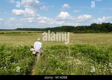 France, Indre, Rosnay, Parc naturel régional de la Brenne, chasse les papillons dans les champs Banque D'Images