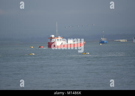 L'HAYLING ISLAND FERRY SUR SON CHEMIN D'EASTNEY À PORTSMOUTH À HAYLING ISLAND, DANS LE PORT DE LANGSTONE, AVEC UNE ESCORTE DE FRAIS GÉNÉRAUX D'OIES Banque D'Images