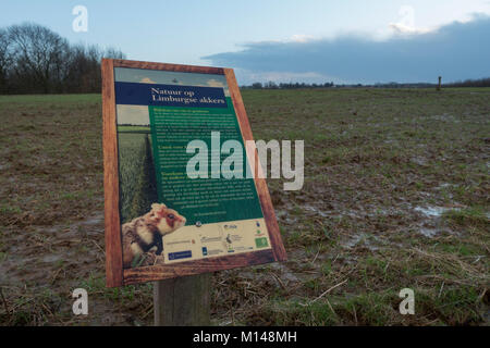 Réserve naturelle, champ de chaumes avec signe pour protection de grand hamster, Cricetus cricetus, Limbourg, Sittard, Pays-Bas. Banque D'Images