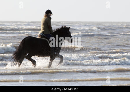 100s de personnes sont descendues dans les plages de Camber Sands pour profiter d'une belle journée au soleil. Les gens ont été vus à cheval, randonnée pédestre les chiens et sautant par-dessus les cours d'eau sur la plage. Doté d''atmosphère : où : Camber Sands, Royaume-Uni Quand : 26 Déc 2017 Crédit : WENN.com Banque D'Images