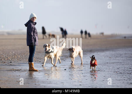 100s de personnes sont descendues dans les plages de Camber Sands pour profiter d'une belle journée au soleil. Les gens ont été vus à cheval, randonnée pédestre les chiens et sautant par-dessus les cours d'eau sur la plage. Doté d''atmosphère : où : Camber Sands, Royaume-Uni Quand : 26 Déc 2017 Crédit : WENN.com Banque D'Images