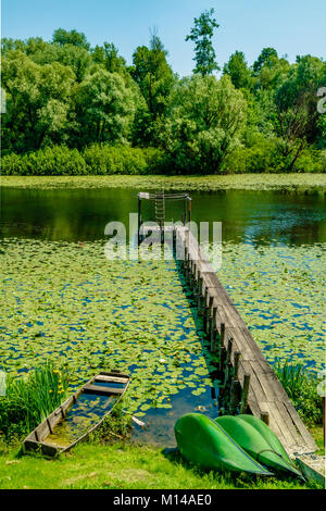 Jetée avec casse bateau en bois entourée de nénuphars sur la rivière Sava oxbow près du Parc Naturel de Lonjsko Polje de terres humides dans le bassin du Danube, la Croatie. Banque D'Images