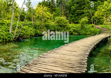 Passerelle/boardwalk & lake, au Parc National de Plitvice, situé à la fois dans Lika-Senj & comté de Karlovac en Croatie. Banque D'Images