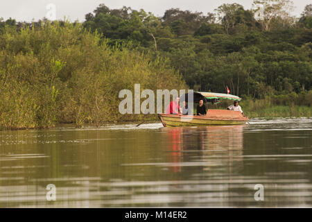 Un tour de bateau sur l'Amazone pour voir des dauphins. Banque D'Images