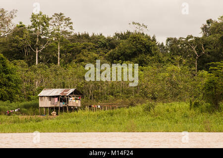 Quelques maisons le long de la rivière amazonienne, le seul moyen de transport est le réseau des rivières de la région. Banque D'Images