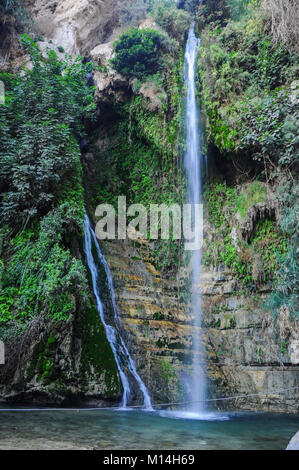 Le parc national Ein Gedi, Israël Banque D'Images