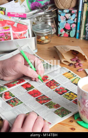 L'Organisation des paquets de semences et graines de commande d'un catalogue pour la nouvelle saison de plantation, dans un jardin Anglais prix en hiver (janvier), Royaume-Uni Banque D'Images