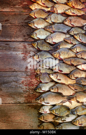 Poisson frais pêché la carpe sur le bois. Attraper les poissons d'eau douce sur fond de bois. Beaucoup de brèmes, le carassin poisson ou roach sur fond de bois naturel. Background Banque D'Images