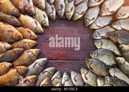 Poisson frais pêché la carpe sur le bois. Attraper les poissons d'eau douce sur fond de bois. Autour d'un grand nombre de poissons, la brème le carassin ou roach sur fond de bois naturel. B Banque D'Images