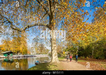 France, Paris, Bois de Vincennes, du lac Daumesnil en automne Banque D'Images