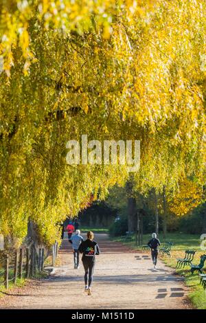 France, Paris, Bois de Vincennes à l'automne Banque D'Images