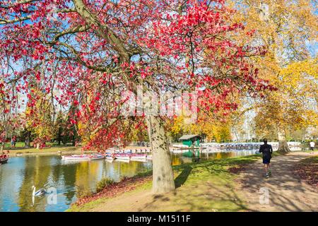 France, Paris, Bois de Vincennes, du lac Daumesnil en automne Banque D'Images