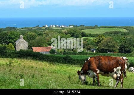 France, Manche, Cotentin, Jobourg Banque D'Images