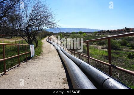 Des lignes d'eau au-dessus du sol longent un sentier de terre près d'arbres sans feuilles et d'arroyo herbacé lors d'une journée de printemps claire dans la campagne de Tucson, en Arizona Banque D'Images