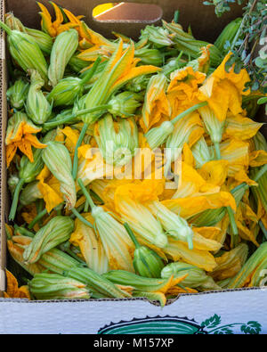 Fleurs de courge et prêtes pour la vente au marché des fermiers Banque D'Images