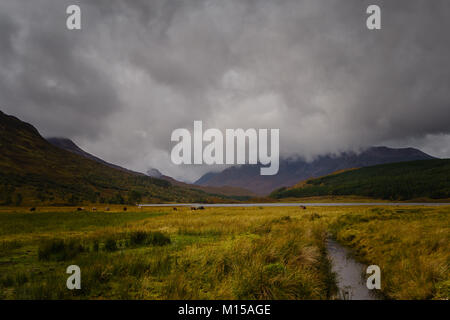 Le Loch Torridon, Coulin Banque D'Images