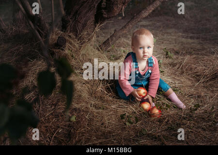 Petite fille aux pommes assis sous un arbre. Banque D'Images