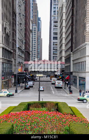 CHICAGO, IL - 5 mai 2011 - Vue de Madison St. intersection avec l'Avenue Michigan, à côté du Parc du Millénaire, au cours du printemps, avec des arbres en fleur pleine Banque D'Images