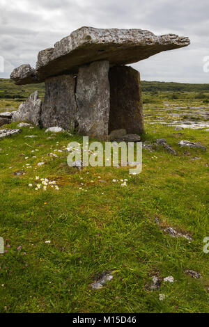 Dolmen de Poulnabrone portal est un tombeau situé dans le Burren, comté de Clare, Irlande. Banque D'Images