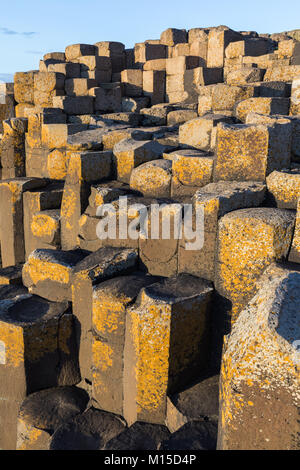 Le Giant's Causeway est une zone d'environ 40 000 colonnes de basalte d'enclenchement, le résultat d'une ancienne éruption volcanique. Il est situé dans le comté de Antri Banque D'Images
