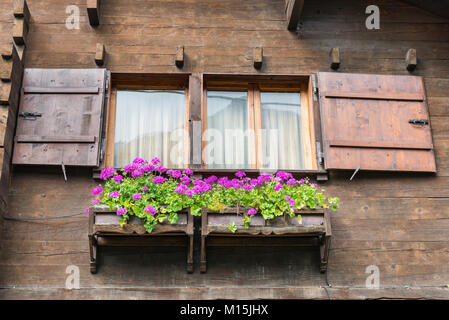 Fenêtre typique avec des fleurs d'un chalet en bois sur les Alpes. Façade d'une maison de montagne avec deux boîtes à fleurs en bois avec fuchsia géraniums Banque D'Images