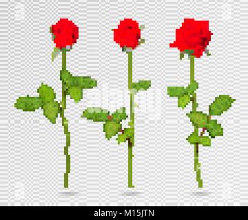 Vector set de rose rouge fleur. Roses 3d isolé sur transparent, vector illustration. Fleurs collection vecteur réaliste Illustration de Vecteur