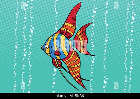 Poissons d'aquarium d'eau douce poissons-anges Illustration de Vecteur