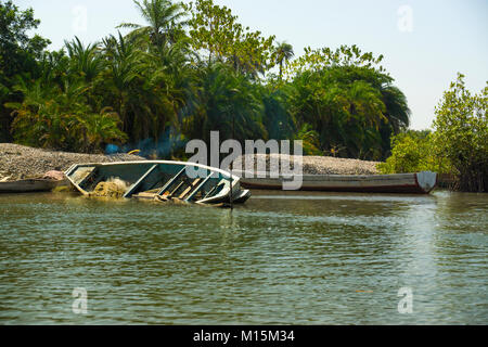 Un canoë sur le fleuve Gambie près de Makasutu Forst en Gambie, Afrique de l'Ouest Banque D'Images