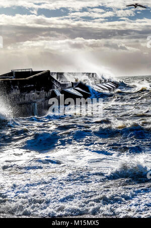 Une mer déchaînée se briser contre brighton marina Black Harbour, mur et pulvérisation haute vagues dans l'air, état de la mer et d'une mouette solitaire essayant de s Banque D'Images