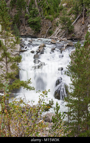 Firehole Firehole Falls sur la rivière dans le Parc National de Yellowstone Banque D'Images