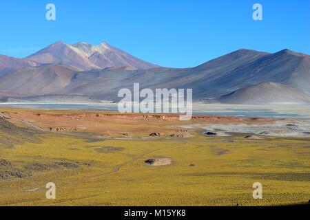 Lagune Salar de Talar mit Bergen kahlen Cerros de Incahuasi und Paso de Sica,Région d'Antofagasta, Chili Banque D'Images