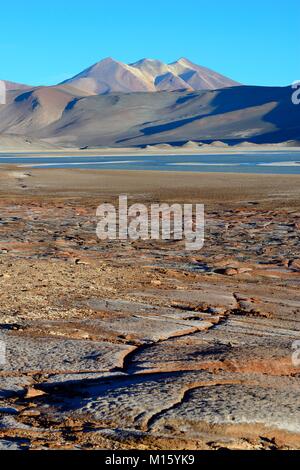 Lagune Salar de Talar mit den Bergen Cerros de Incahuasi,Paso de Sica,Région d'Antofagasta, Chili Banque D'Images