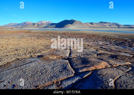 Lagune Salar de Talar mit den Bergen Cerros de Incahuasi,Paso de Sica,Région d'Antofagasta, Chili Banque D'Images