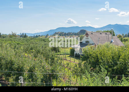 Le sentier Store, situé à côté de la Kettle Valley Rail Trail, est un arrêt populaire pour les gens à pied ou à bicyclette sur le Naramata Bench, C.-B., Canada.un Banque D'Images