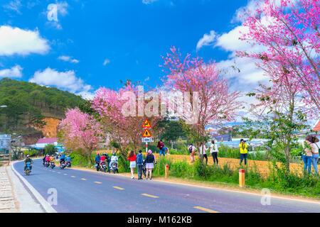 Les touristes profiter de ressort à l'intérieur merisier flamboyant au soleil matinal, tous créés et ludique de beauté est typique des highlands avec l'arrivée du printemps Banque D'Images