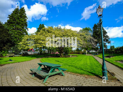 Un banc en bois au parc public dans le sud de l'île de la Nouvelle-Zélande. Banque D'Images