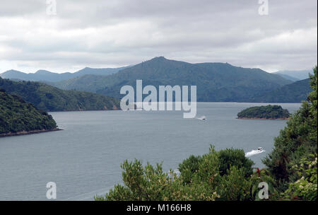 Queen Charlotte Sound, Picton, île du Sud, Nouvelle-Zélande, NZ Banque D'Images