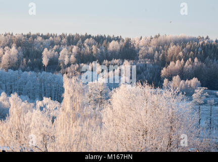 Paysage avec frost dans l'arbre Banque D'Images