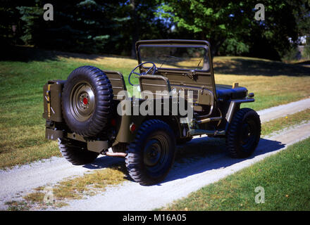 1951 Willys Modèle M38 vue arrière Banque D'Images