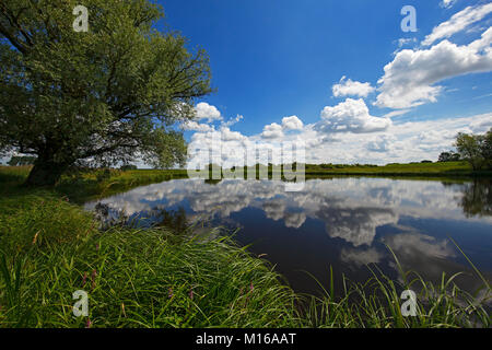 River Sude avec ciel nuageux, réflexion, Réserve de biosphère de l'UNESCO Paysage rivière Elbe, Mecklembourg-Poméranie-Occidentale, Allemagne Banque D'Images