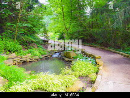 Un sentier qui passe par une belle cascade et bassin. Parmi les arbres verdoyants et des plantes partout. Banque D'Images