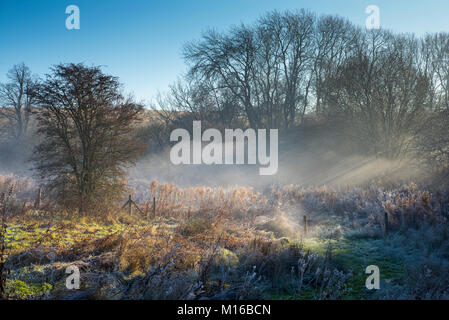 Matin brouillard un hiver normal misty et frosty landscape scene dans Swinbrook dans les Cotswolds, England, UK Banque D'Images