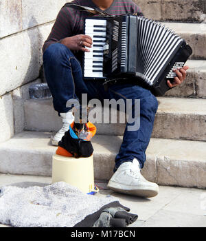 Lisbonne, Portugal Circa.Avril 2014.Jeune homme jouant l'accordéon avec son petit chien tenant dans sa bouche un panier d'argent. Banque D'Images