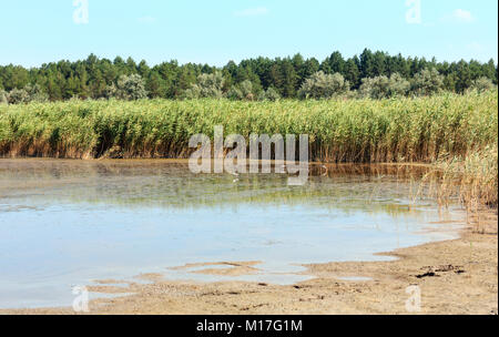 Pryschukove d'été rouge brun foncé avec le lac d'iode un effet thérapeutique grâce à la haute teneur en iode (région de Kherson, Ukraine). Banque D'Images