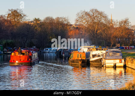 Narrowboats sur la rivière Lea près de Walthamstow marais à Londres, Angleterre, Royaume-Uni, UK Banque D'Images