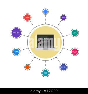 Développement Web Infographie. Les langages de programmation. La programmation et le codage. Vector illustration Illustration de Vecteur