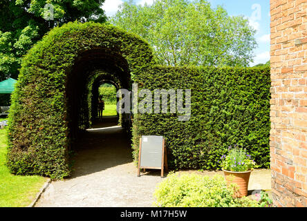 Moreton Hall peu Knot Garden à Crewe, Cheshire Banque D'Images