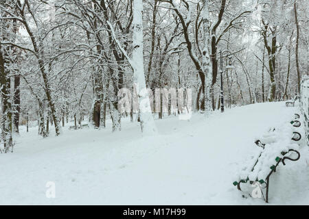 Beau couvert d'hiver matin Ivan Franko Park dans le centre-ville de Lviv, Ukraine. Banque D'Images